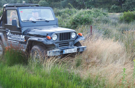 Aventure ! 4x4 à travers la Sierra de San Pedro et séjour dans un loft rustique près de Cáceres