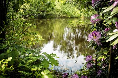 Ontdek de omgeving op een E-bike, inclusief diner (vanaf 2 nachten)