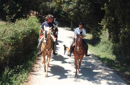 Uitje met dagelijkse toegang tot het wellnesscentrum en paardrijden in het Ambrozdal