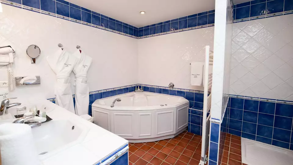 Suite Junior y acceso al spa en un establecimiento excepcional a dos minutos de Avinon