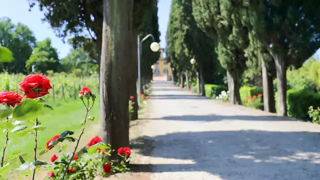 Soggiorno nel cuore della Toscana in mezza pensione