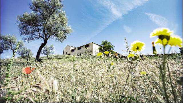 Turismo rural inmerso en la naturaleza de Badajoz