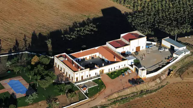 Enología y Gastronomía en Tierra de Barros con visita a Bodega y Cena