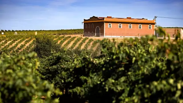 Enología y Gastronomía en Tierra de Barros con visita a Bodega y Cena
