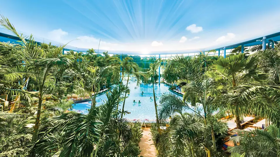 Descubre Vitaltherme Sauna bajo las palmeras cerca de Colonia