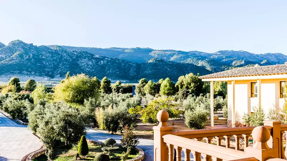 Sejour avec petit-dejeuner et bouteille de cava en pleine nature dans la Sierra de Cazorla