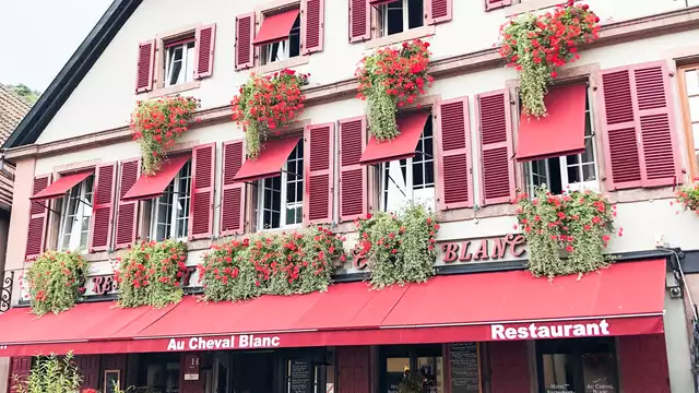 Despierta todos tus sentidos con una cena y una visita a la bodega en Ribeauvillé
