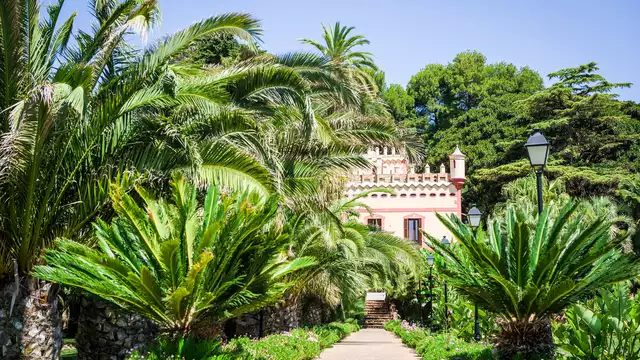Escapada a un hotel 5* en Xerta con visita a viñedos y degustación de vino
