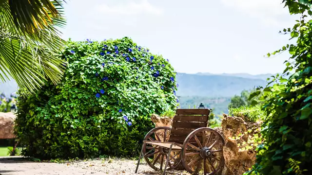 Escapada de lujo Junior Suite con banera de hidromasaje cava y preciosas vistas
