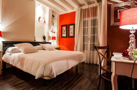 Air pur : escapade en chambre supérieure dans une forêt à Selores