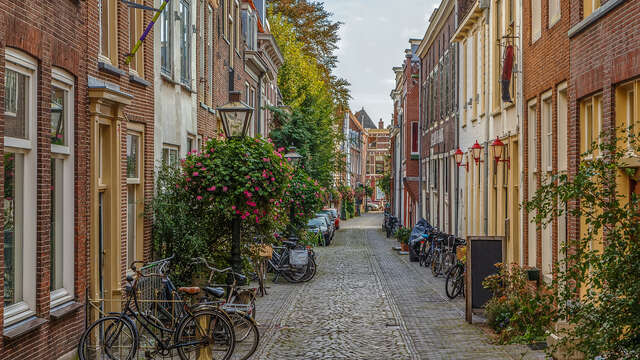 Disfruta de tres días con una noche gratis en Sassenheim–Leiden