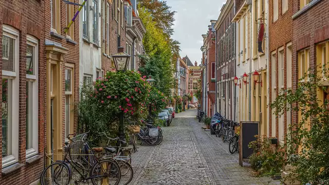 Disfruta de tres días con una noche gratis en Sassenheim–Leiden