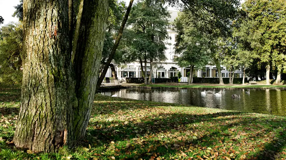 Sprookjesachtig verblijf met bubbels bij het ontbijt in het hart van Genk