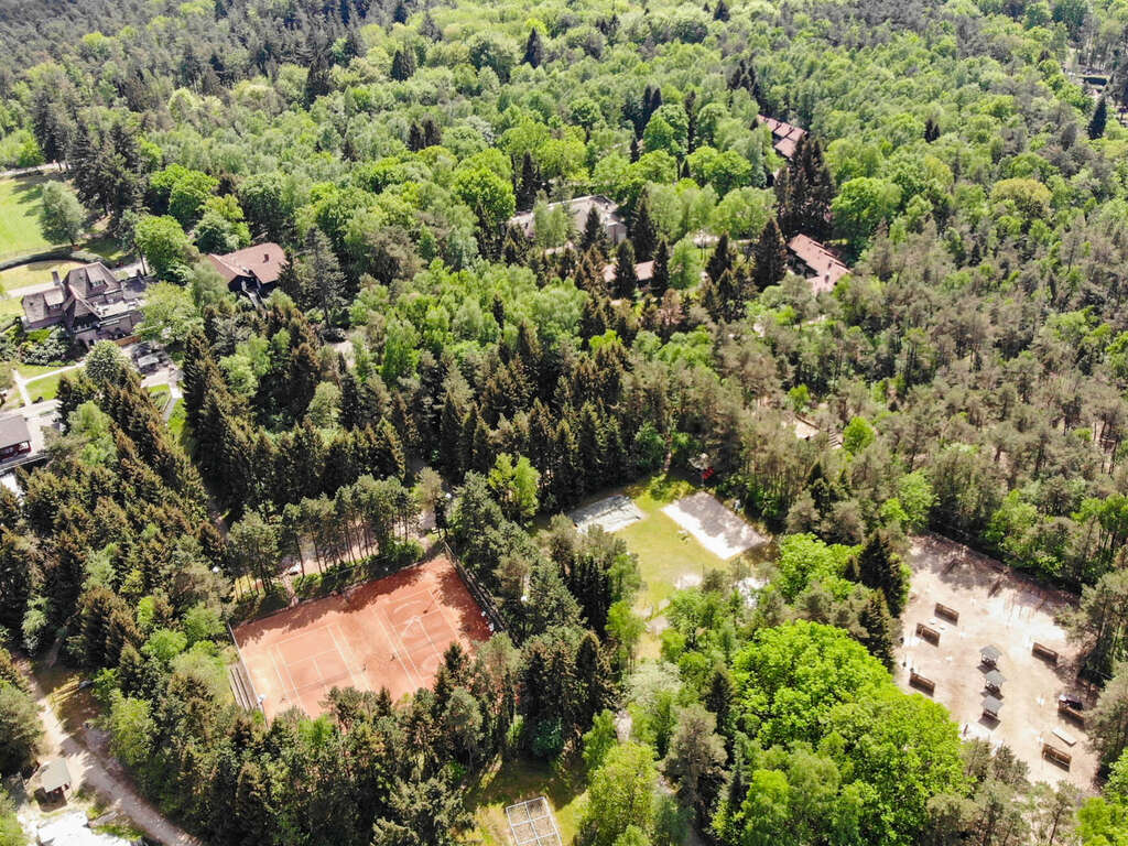 Profitez du calme et de la tranquillité dans la magnifique réserve naturelle de Veluwe - 4* - 10