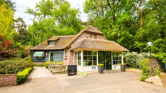Romanticismo en plena naturaleza en la Veluwe, con champán y salida tardía
