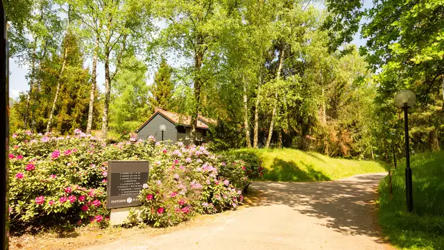 Romanticismo en plena naturaleza en la Veluwe, con champán y salida tardía