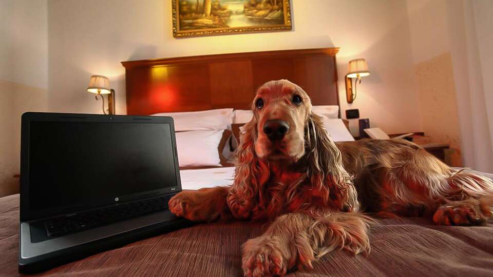 Estancia en el corazon de Napoles con bebida de bienvenida