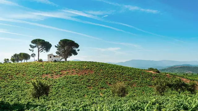 Œnologie et nature à Cacabelos (à partir de 2 nuits)