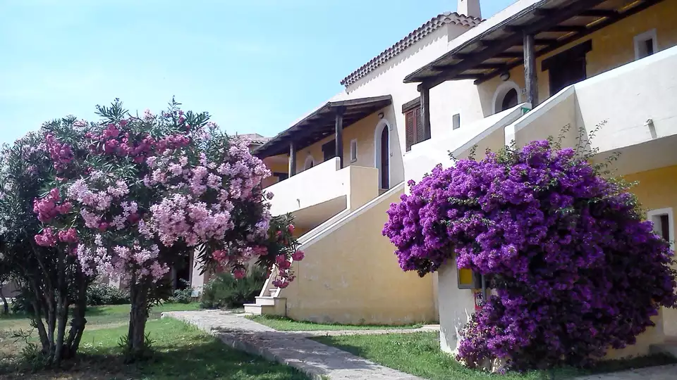 Vacanze estive in bilocale per in un resort in riva al mare a Golfo Aranci da notti