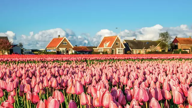Familieweekend aan de kust van Noordwijk