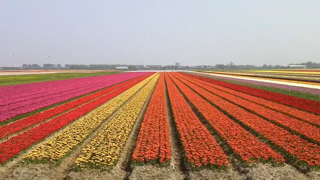 Uitwaaienaan de Nederlandse kust tijdens een luxueus Suite-verblijf