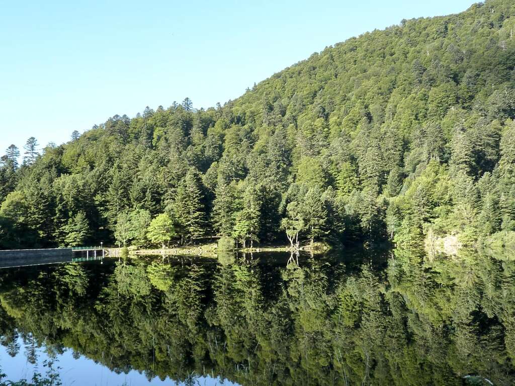 Parenthèse détente dans un chalet 4* en Alsace (jusqu'à 4 personnes) - 4* - 1