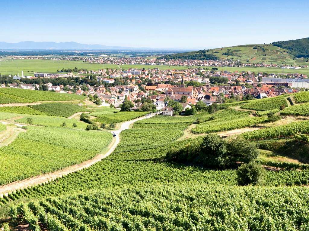 Escapade relaxante en famille en Alsace (jusqu'à 6 personnes) - 4* - 14