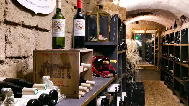 Descubrimiento de bodega y champán en el castillo cerca de Saumur
