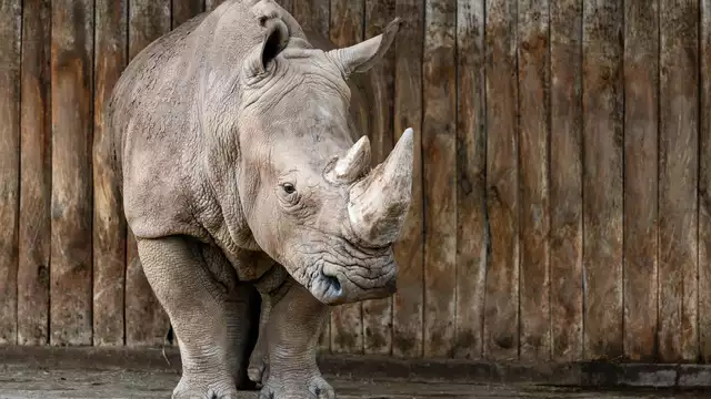 Fuga a Suances con biglietti per il Parque de Cabárceno