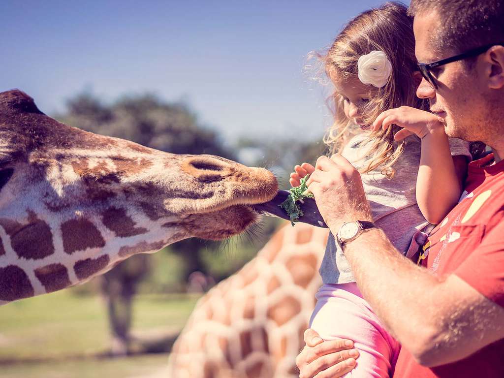 France - Nord et Picardie - Bondues - Escapade à Lille avec entrées au Zoo - 3*