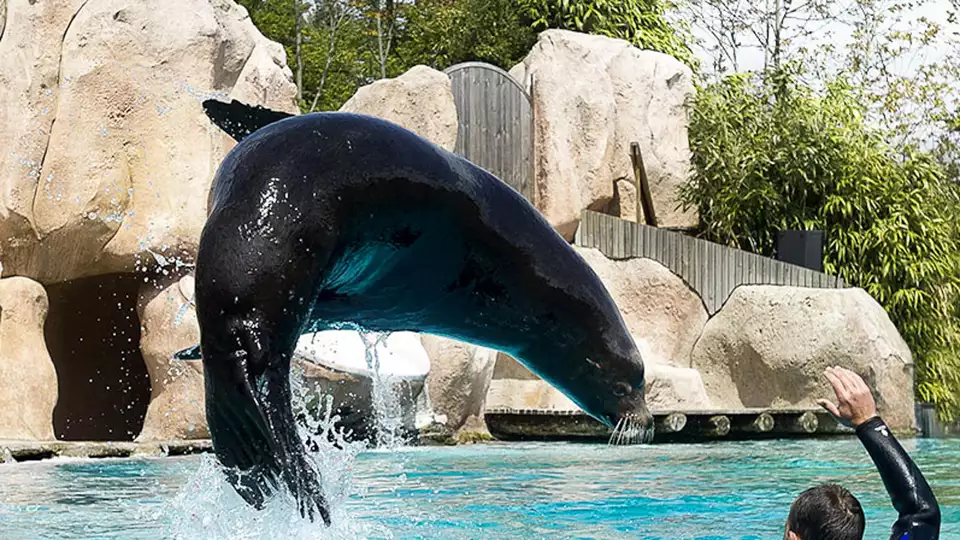 Week-end decouverte au Zoo d Amneville