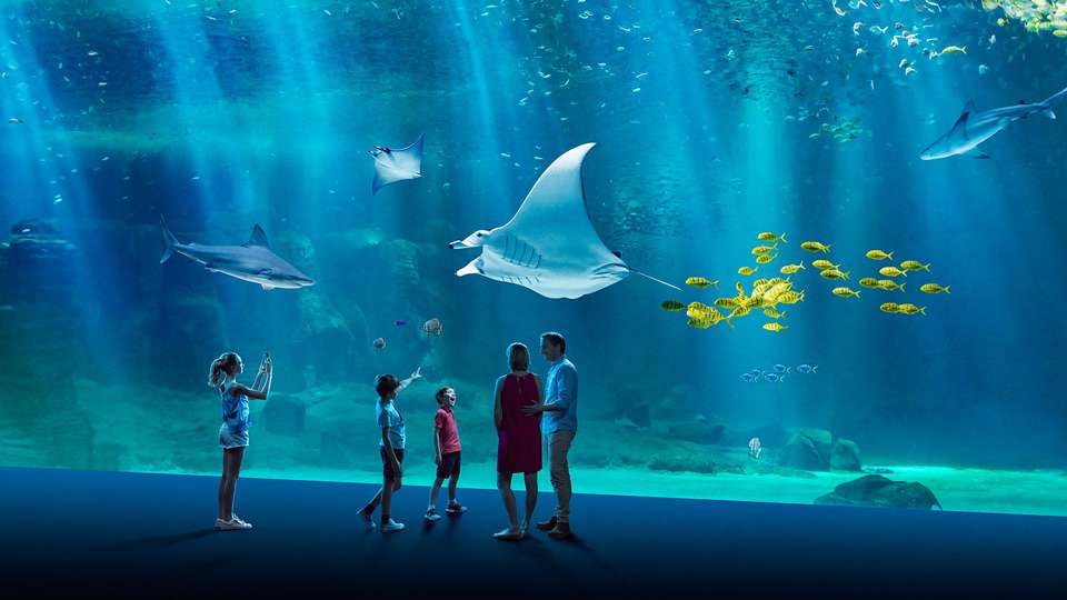 Gezinsverblijf met toegang tot het Nausicaa Aquarium