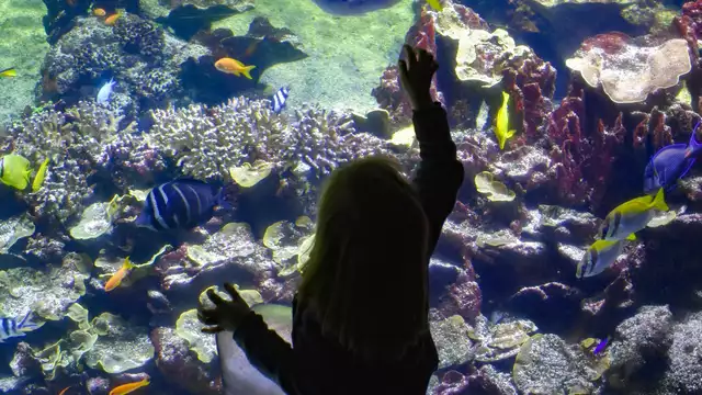Séjour familial avec entrée à l'Aquarium Nausicaa