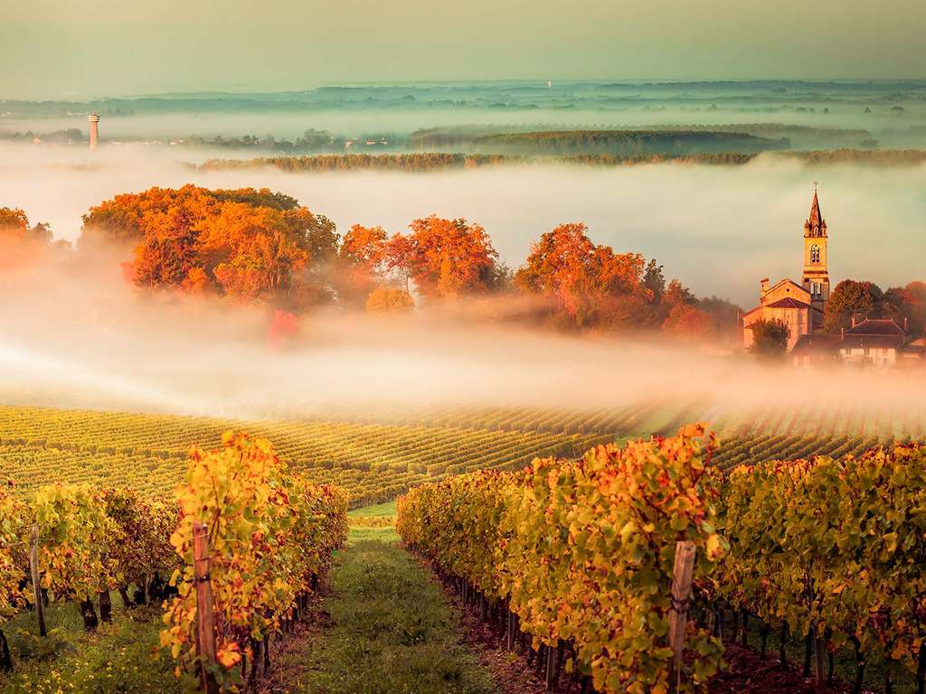 Vous pensiez qu'il n'y avait que le vin? Attendez de voir la majestueuse ville de Bordeaux! - 3* - 11
