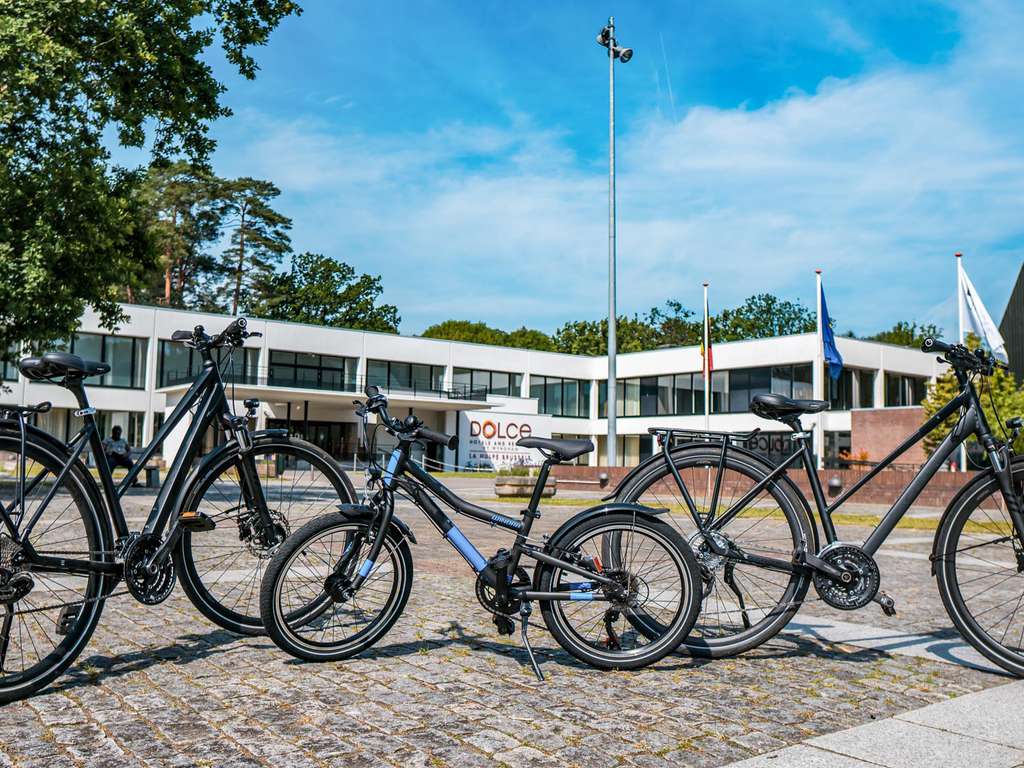 Séjour romantique 4* dans la forêt de Soignes proche de Bruxelles - 4* - 16