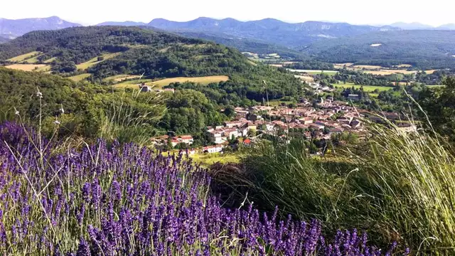 Descubre la naturaleza de Carcasona