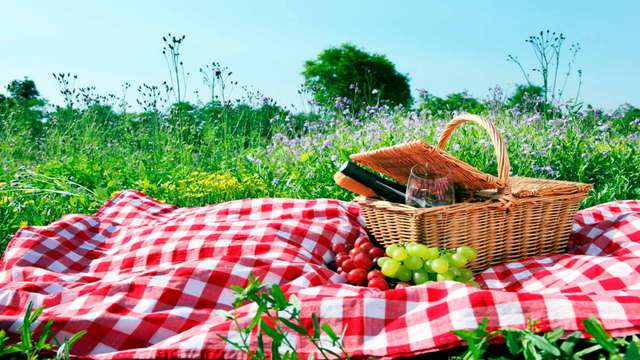 Ontdek de natuur van de Sierra Nevada met picknick