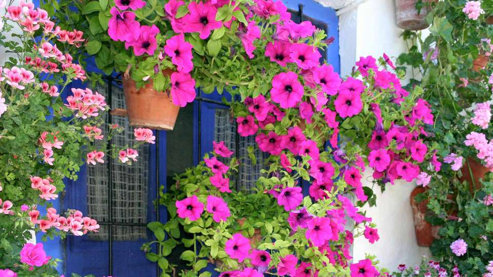Hotel Los Patios - EDIT_EXTERIOR_01.jpg