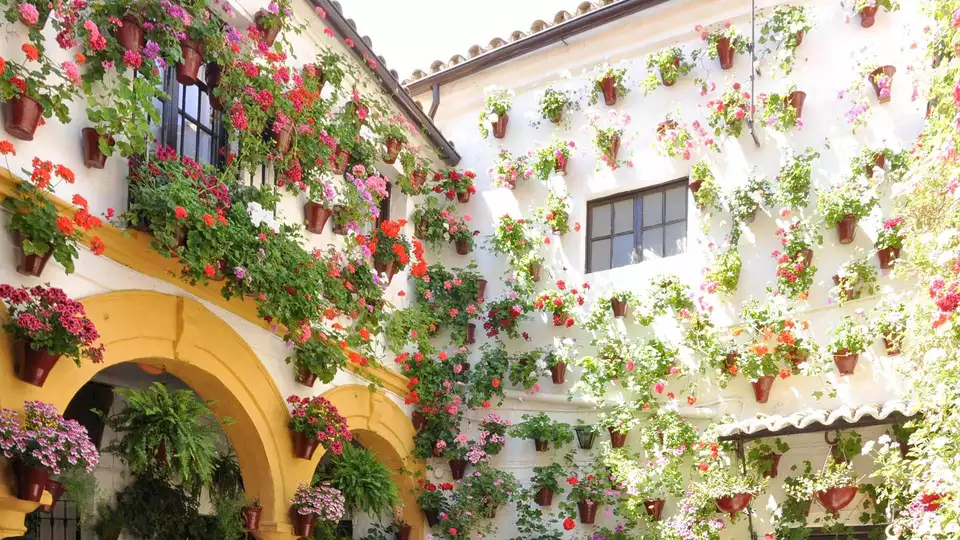 Escapada a Cordoba en hotel boutique con acceso al tour de los patios