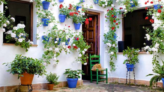 Especial Cordoba, descanse en pleno Barrio de la Judería y disfruta del tour de los patios
