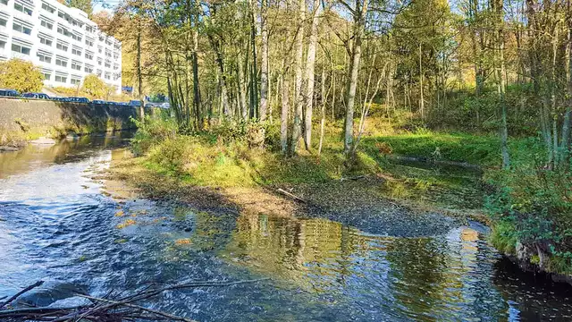Disfruta de un domingo en las Ardenas