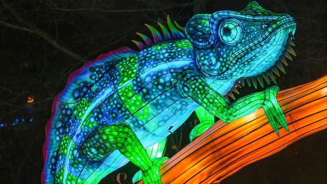 Magnífica estancia con entradas para el zoo de Thoiry y su castillo