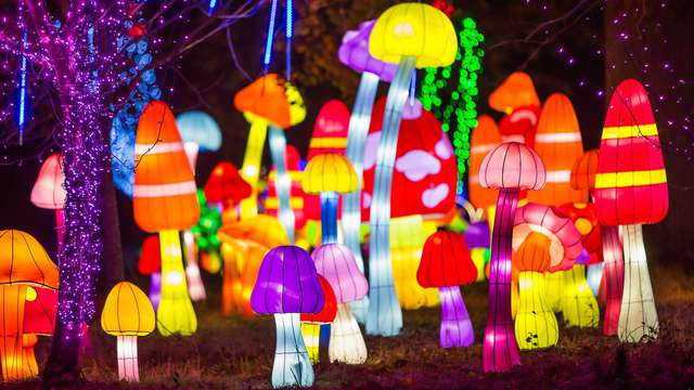 ¡Descubre el zoo de Thoiry!