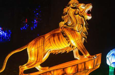 Séjournez près de Versailles et venez découvrir le ZooSafari de Thoiry