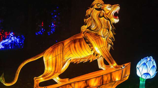 Pasa unos días cerca de Versalles y descubre el Zoo de Thoiry