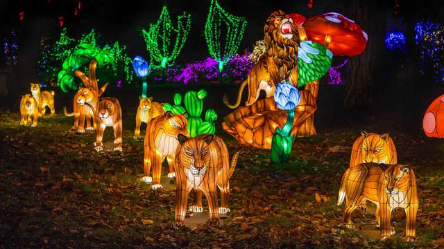 Escapada con entrada al zoo de Thoiry