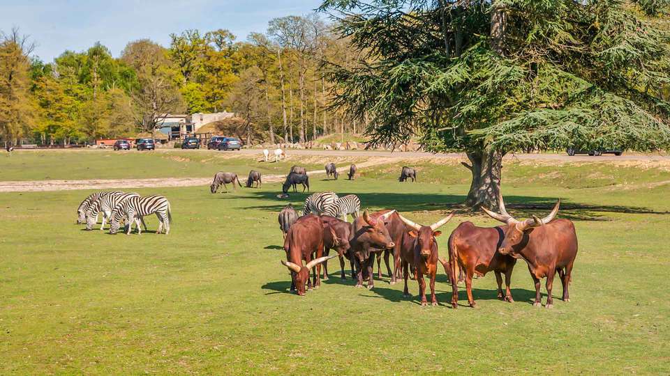 Escapada familiar con visita al Zoosafari de Thoiry