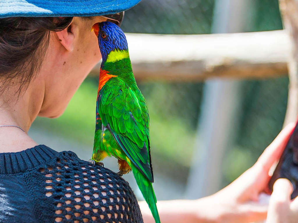 Séjournez près de Versailles et venez découvrir le ZooSafari de Thoiry - 3* - 30