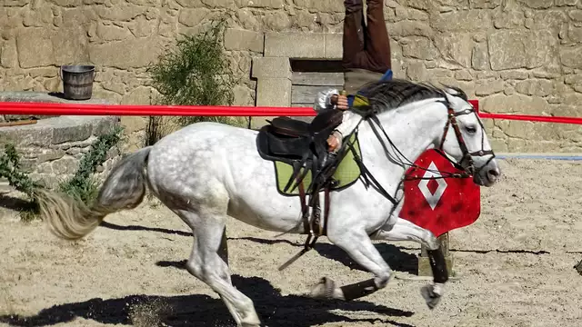 Soggiorno con ingressi al Puy du Fou a 1 ora di macchina