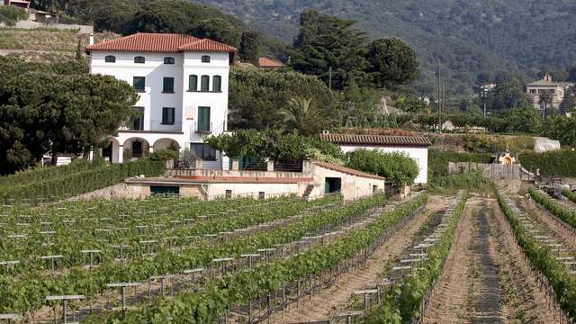 Escapada especial Mini-vacaciones: Evasión y relajación a media hora de Barcelona (Desde 2 noches)